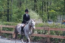 riding lessons in Northern Virginia